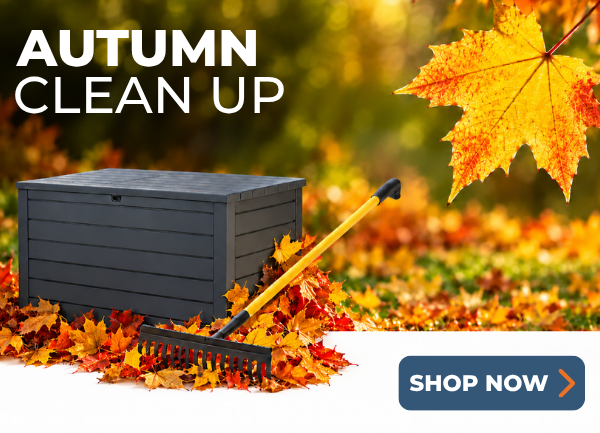 Autumn Clean Up